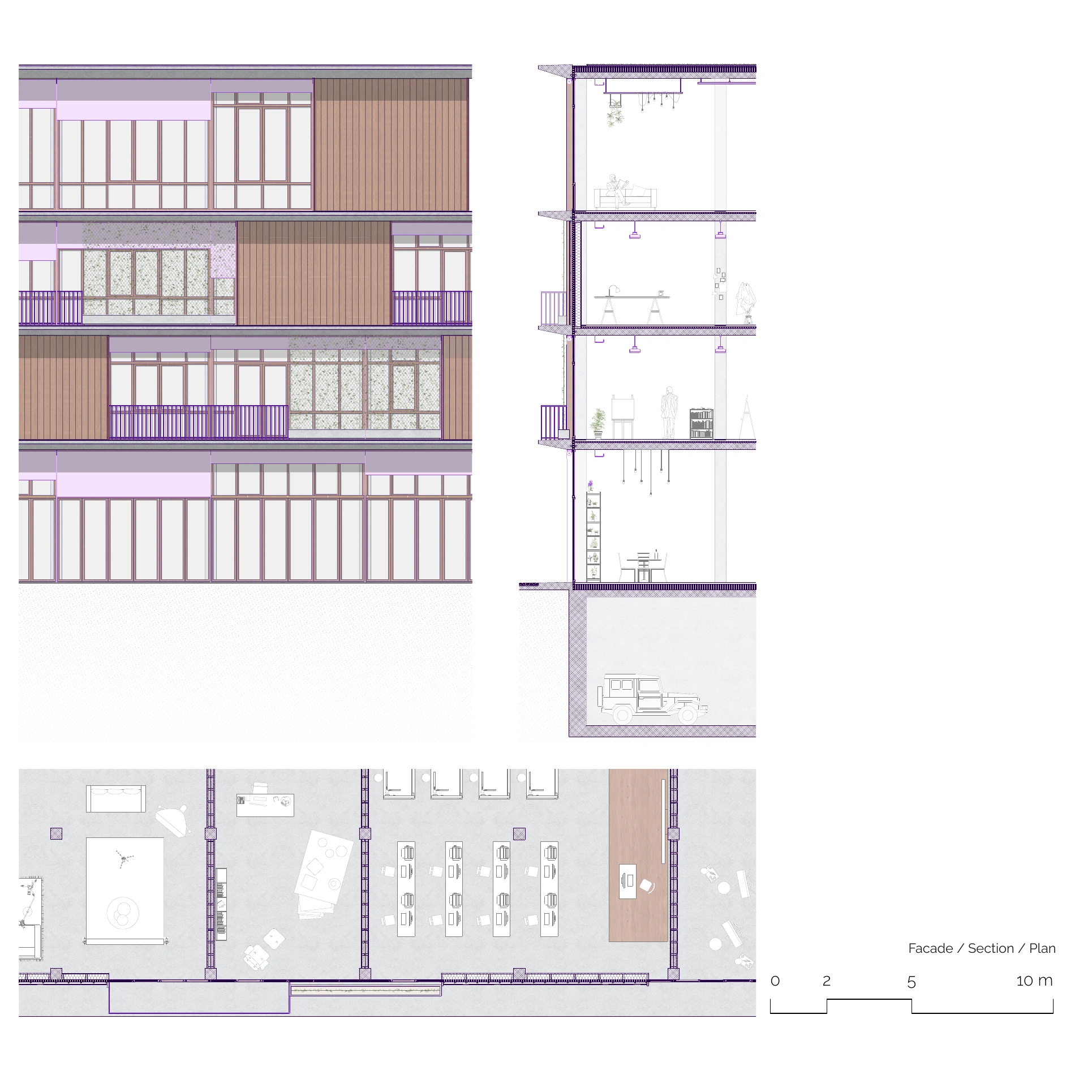 Facade, section and plan