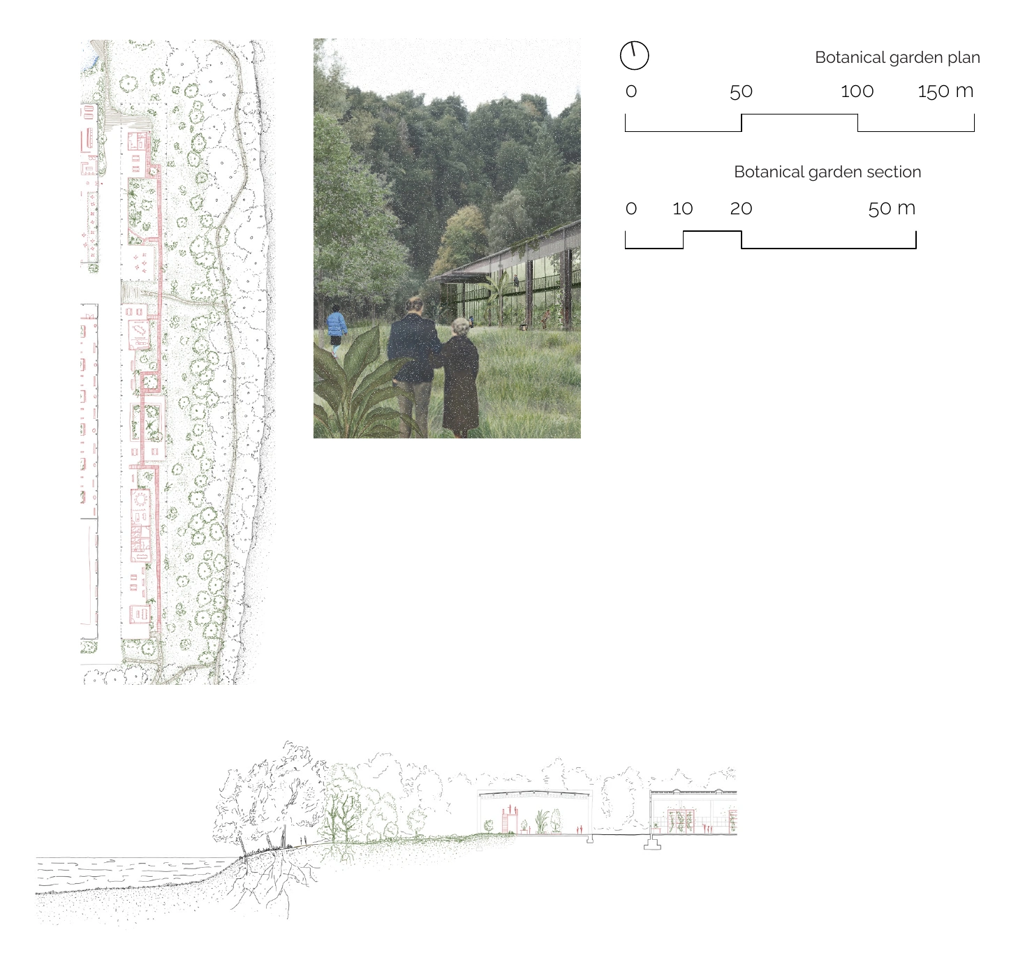 Botanical garden — plan, section and atmosphere