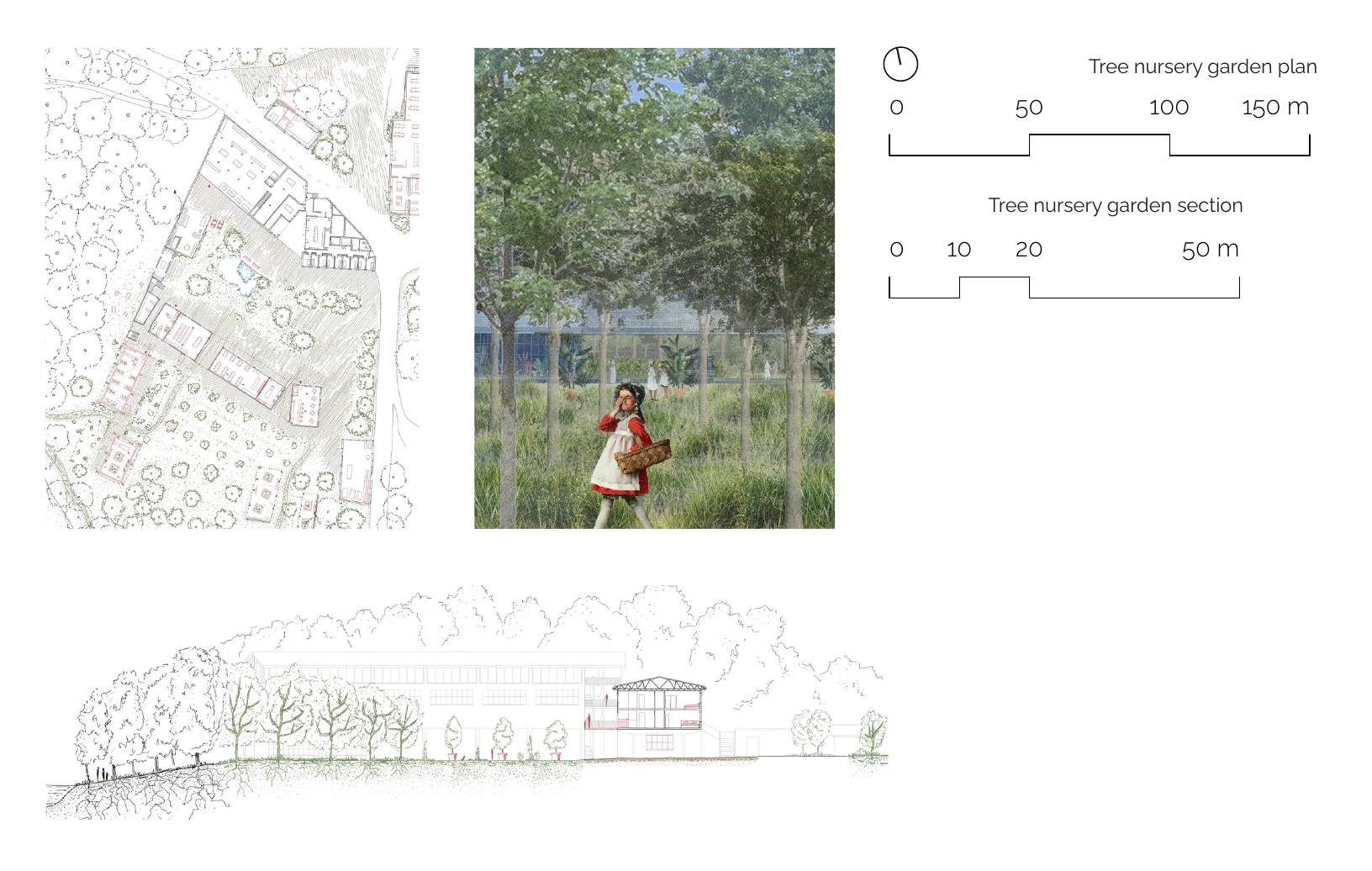 Tree nursery garden — plan, section and atmosphere