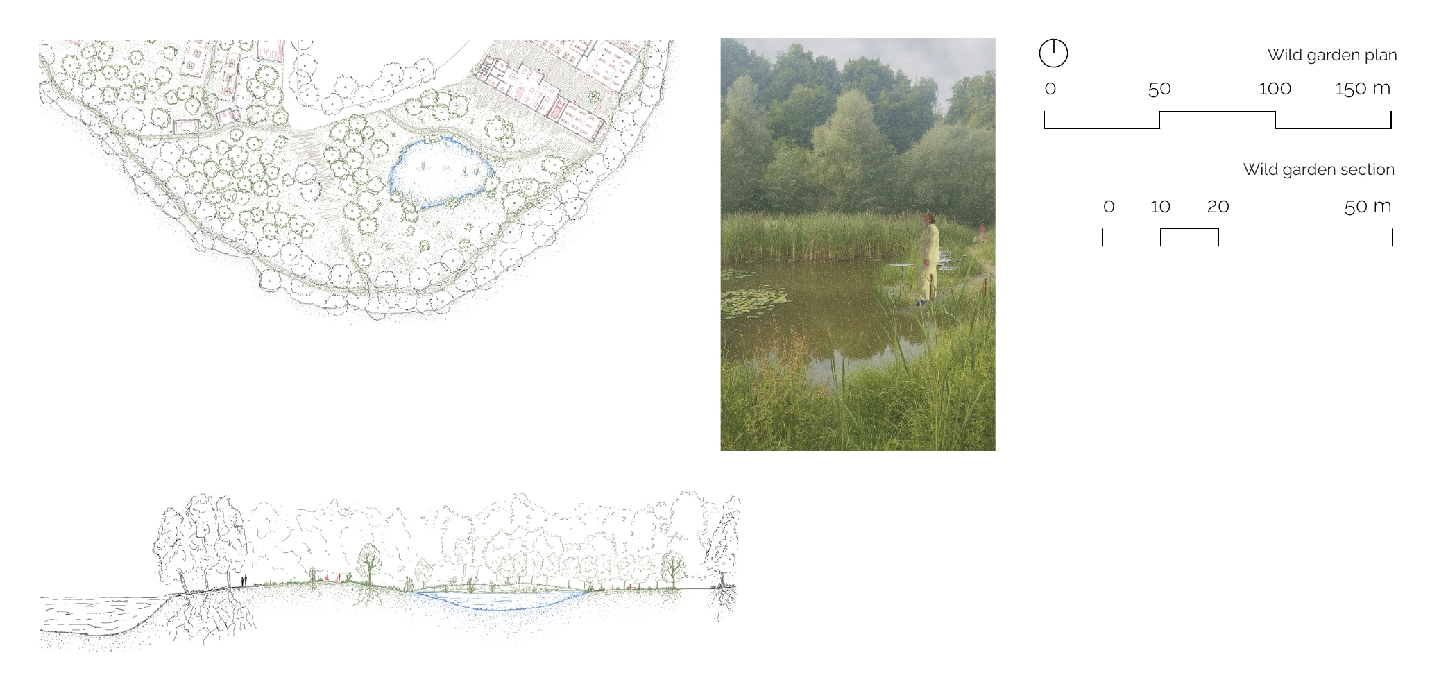 Wild garden — plan, section and atmosphere